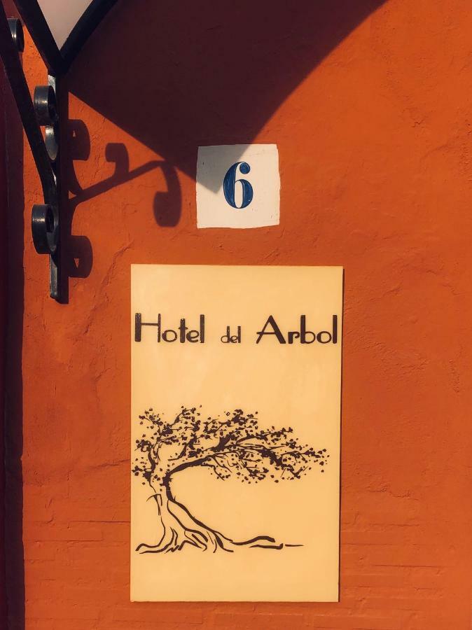 Hotel Del Arbol Xativa Bagian luar foto